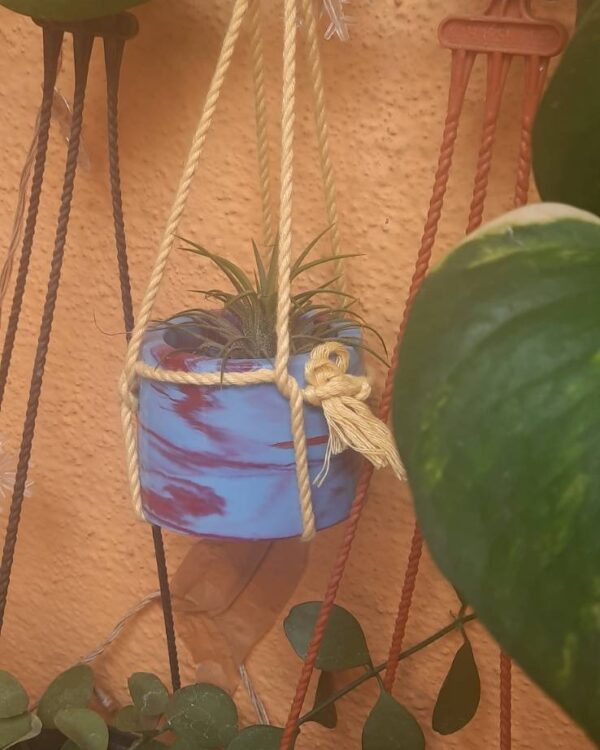 Planters/Pen Stands