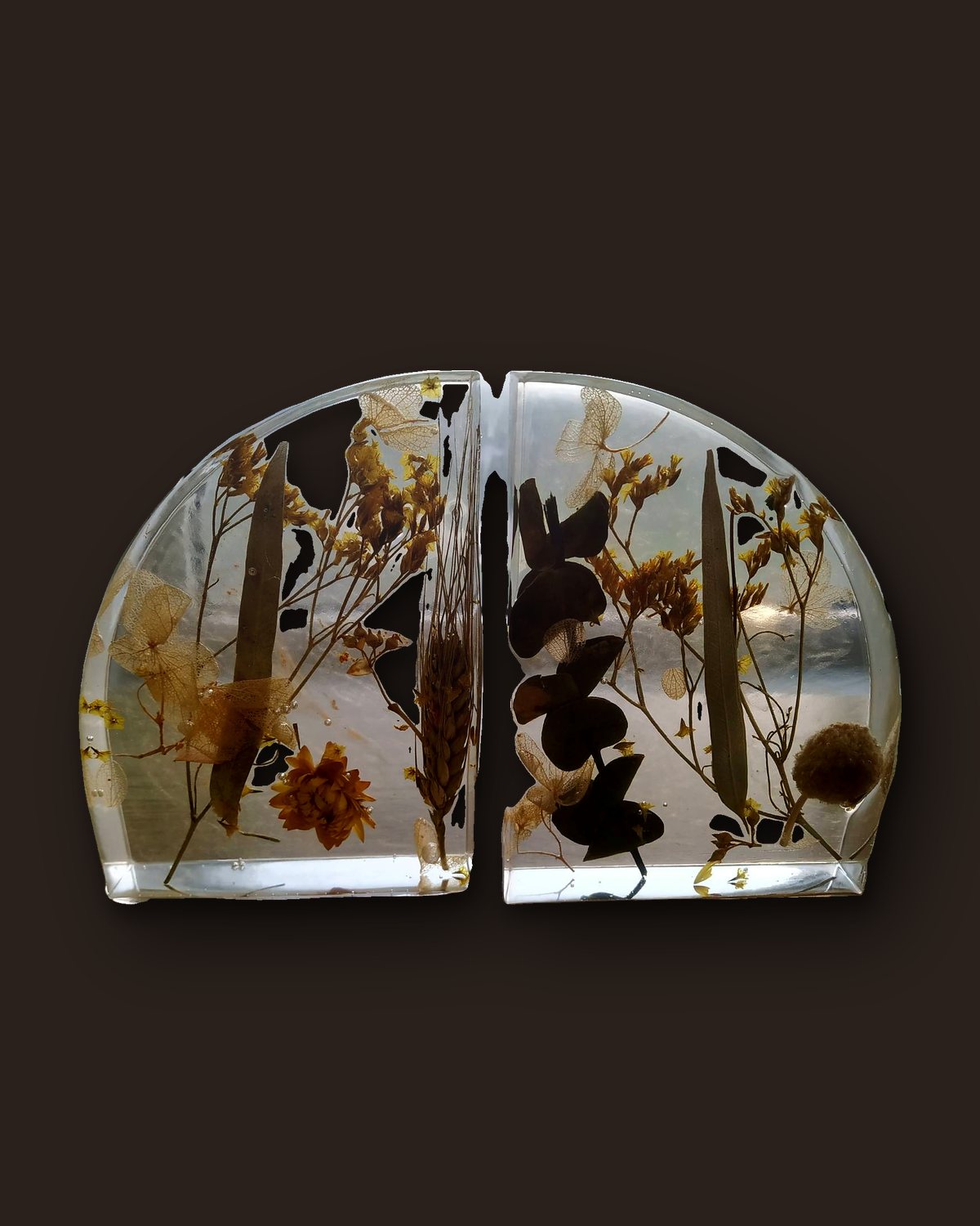 A pair of half-moon clear resin bookends holding preserved dried flowers and grasses